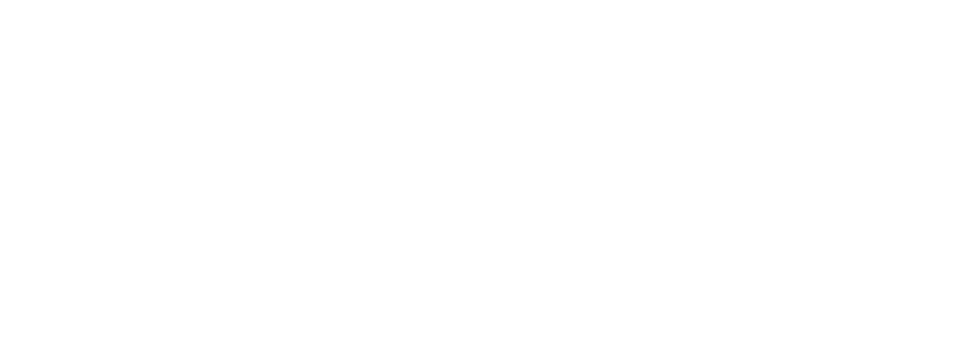 Code Expert Logo