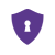 تقنيات ويب حديثة، استضافة آمنة مع SSL، وتسليم مشاريع في الوقت المحدد